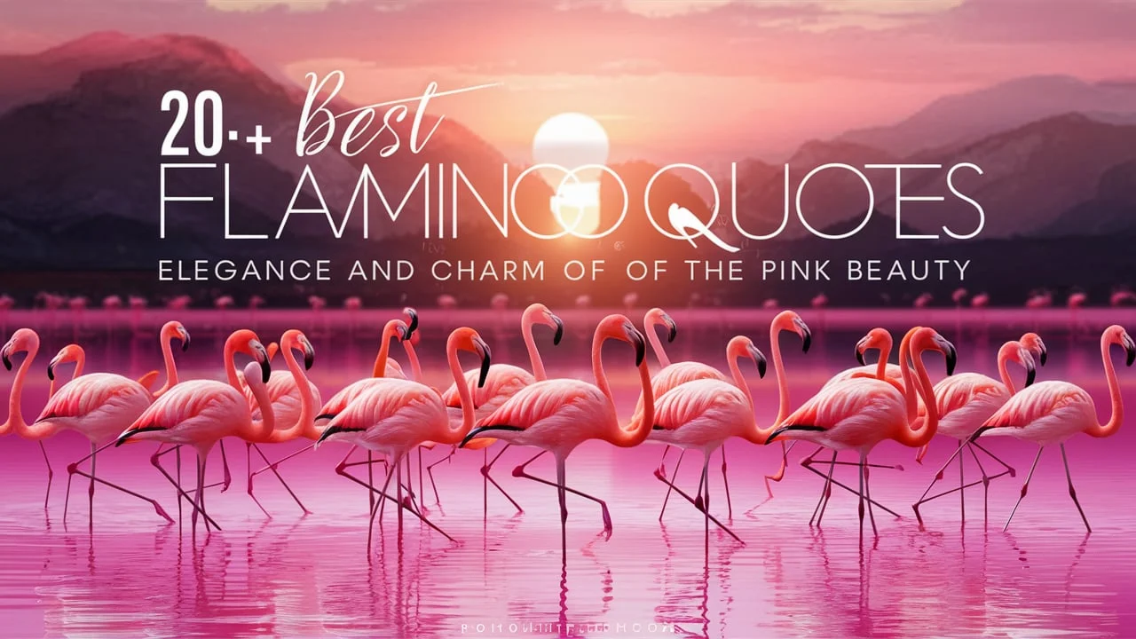 Best Flamingo Quotes
