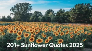 Sunflower Quotes